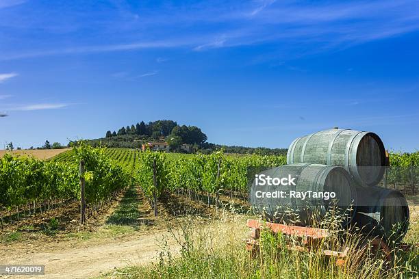 Toscana Viñedo Vino Y Barriles Foto de stock y más banco de imágenes de Agricultura - Agricultura, Aire libre, Barril