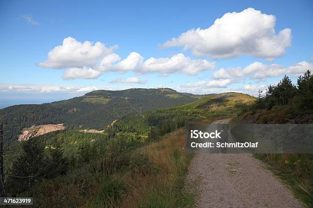 Paisagem Da Floresta Negra - Fotografias de stock e mais imagens de Abeto - Abeto, Ajardinado, Ao Ar Livre