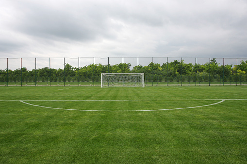 soccer field grass Goal at the stadium Soccer field with white lines on grass