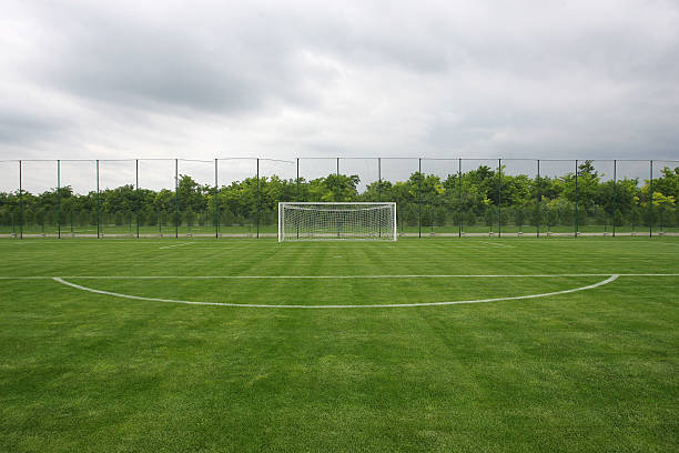soccer field grass Goal soccer field grass Goal at the stadium Soccer field with white lines on grass soccer field stock pictures, royalty-free photos & images