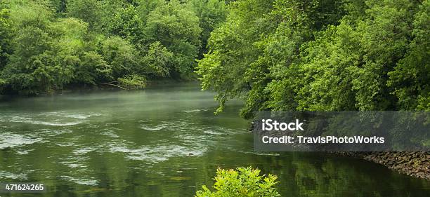 The Chattahoochee River Below Buford Dam In Ga Stock Photo - Download Image Now - Autumn, Effortless, Environment