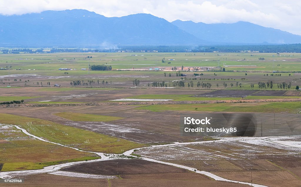 Aerial view of paddy rice fields in Mekong Delta Aerial view of paddy rice fields in Mekong Delta Zone, Southern Vietnam. 2015 Stock Photo