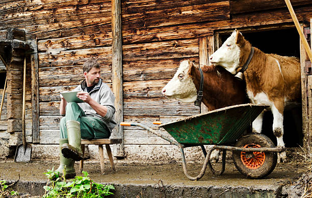 swiss agricultor moderno con tableta digital observado por sus reses - cow swiss culture switzerland cattle fotografías e imágenes de stock