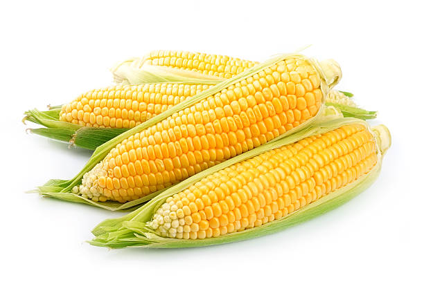 Bright yellow corn isolated on white stock photo