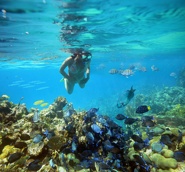 istock Underwater adventure on women coral reef 471628077