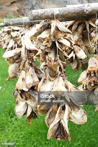 Cabeças De Secagem - Fotografias de stock e mais imagens de Ao Ar Livre - Ao Ar Livre, Cabeça de animal, Comida