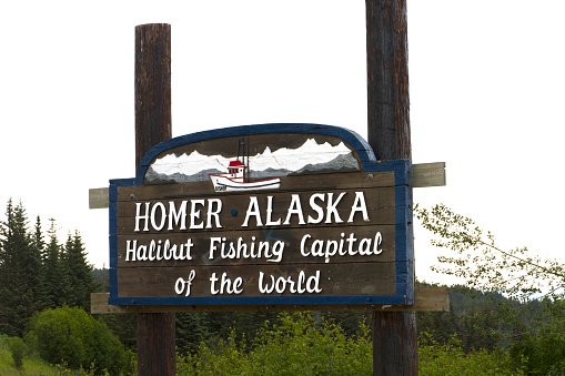 homer alaska halibut fishing capital of the world