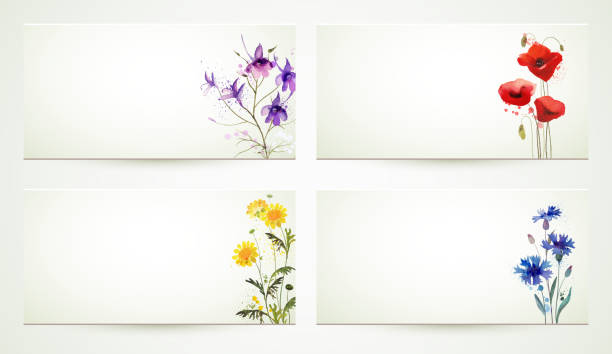 ilustrações de stock, clip art, desenhos animados e ícones de quatro flores banners - poppy purple flower close up