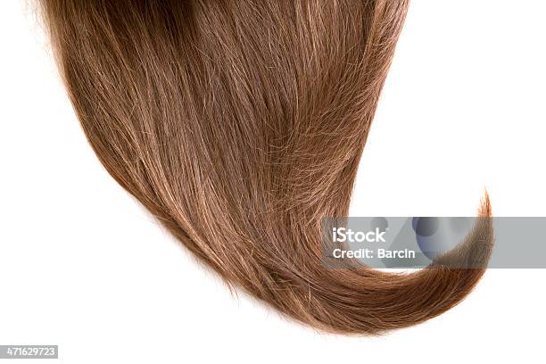 휴머니즘 머리 0명에 대한 스톡 사진 및 기타 이미지 - 0명, 갈색, 갈색 머리
