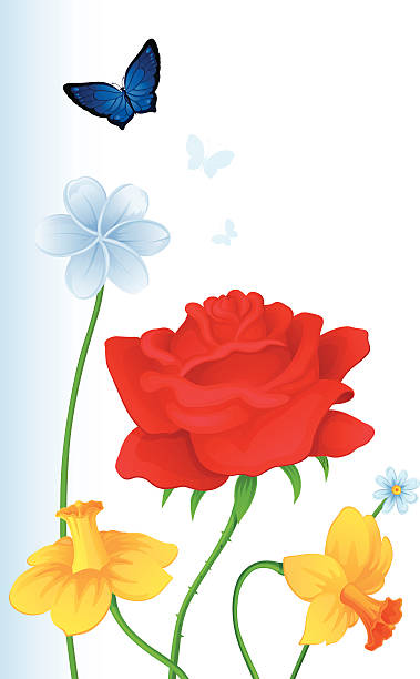 ilustraciones, imágenes clip art, dibujos animados e iconos de stock de tarjeta de felicitación con coloridas mariposas y flores - daffodil flower silhouette butterfly