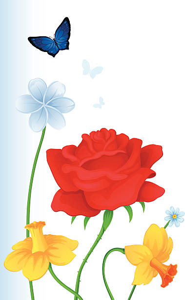 illustrations, cliparts, dessins animés et icônes de carte de voeux avec papillons colorés et fleurs - daffodil flower silhouette butterfly