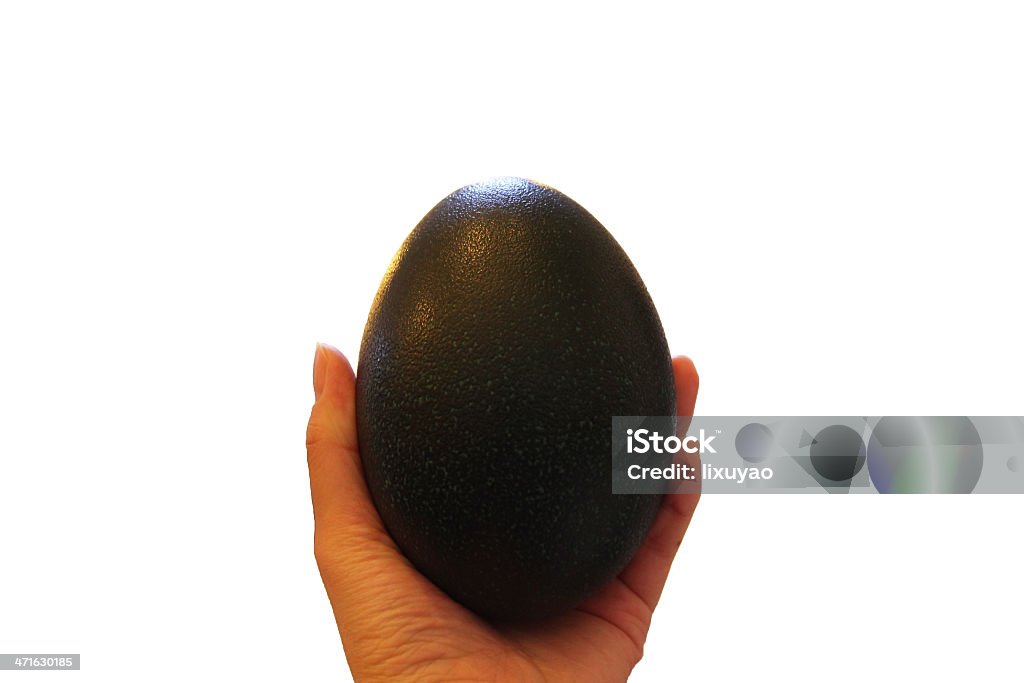 Huevo de avestruz - Foto de stock de Adulto joven libre de derechos