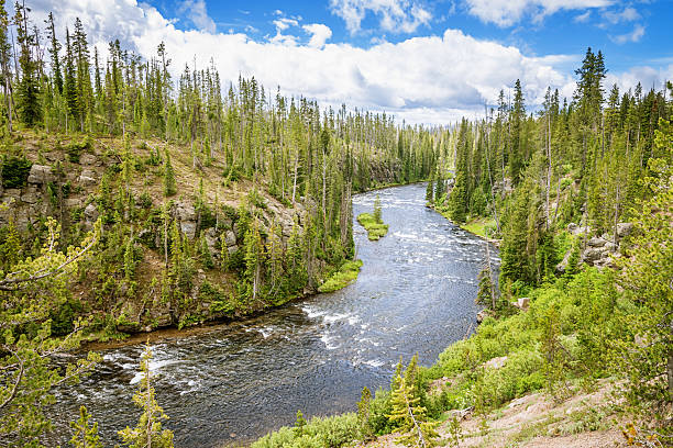 istock Yellowstone National Park River Landscape 471630385