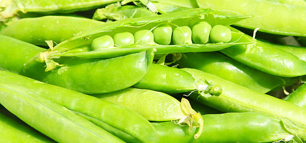 istock Fresh green peas in the pod 471631167