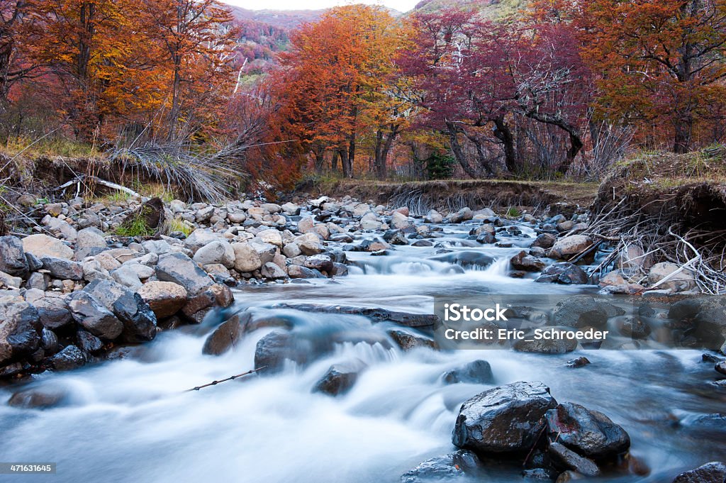 mountain river in autumn Photograph taken at slow shutter speeds to achieve mild effect on the water. This small river near San Martin de los Andes, Neuquen Province, Argentina. Autumn Stock Photo