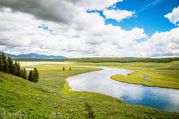 istock Yellowstone River National Park Landscape 471631769
