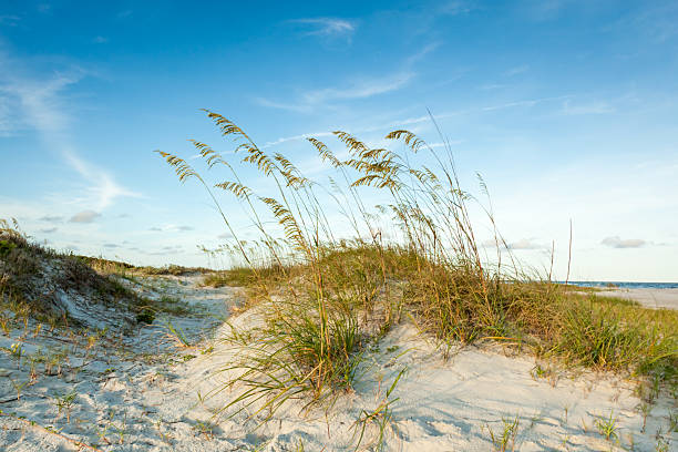 crepuscolo dune visione - sand dune cumberland island beach sand foto e immagini stock