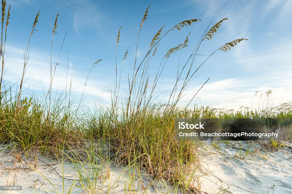 Twilight Dunes bureau - Photo de Plage libre de droits