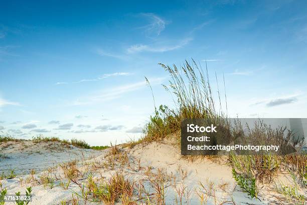 Wysoki Zmierzch Dune - zdjęcia stockowe i więcej obrazów Plaża - Plaża, Trawa morska - Sitowie, Stan Floryda