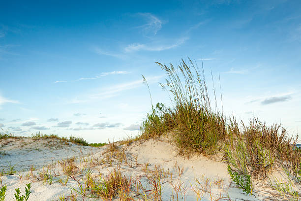 altura crepúsculo dunas - hilton head georgia beach sand - fotografias e filmes do acervo