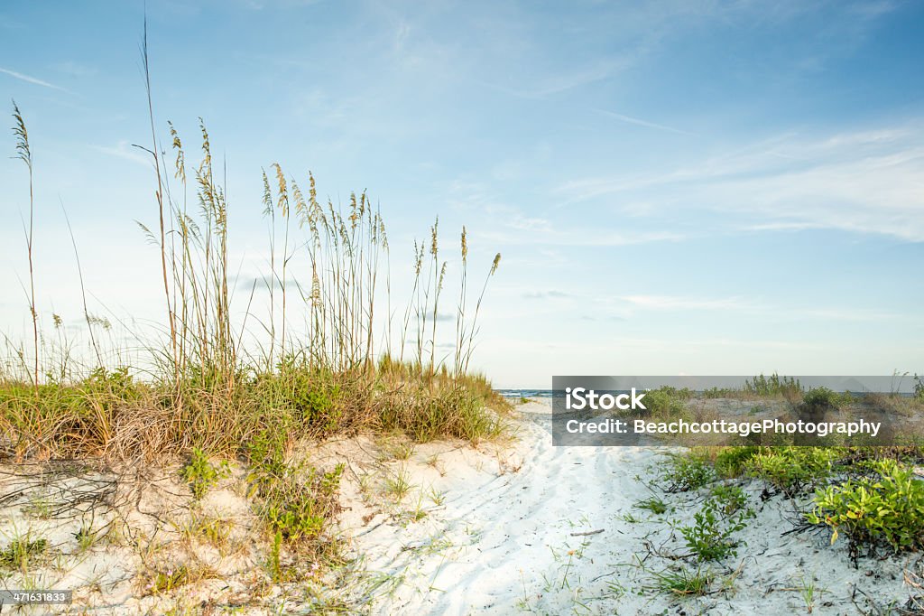 Twilight-Dünen am Meer - Lizenzfrei Hilton Head Stock-Foto