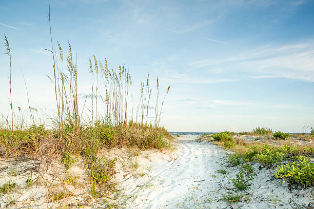 istock Twilight Dunes to the Sea 471631833
