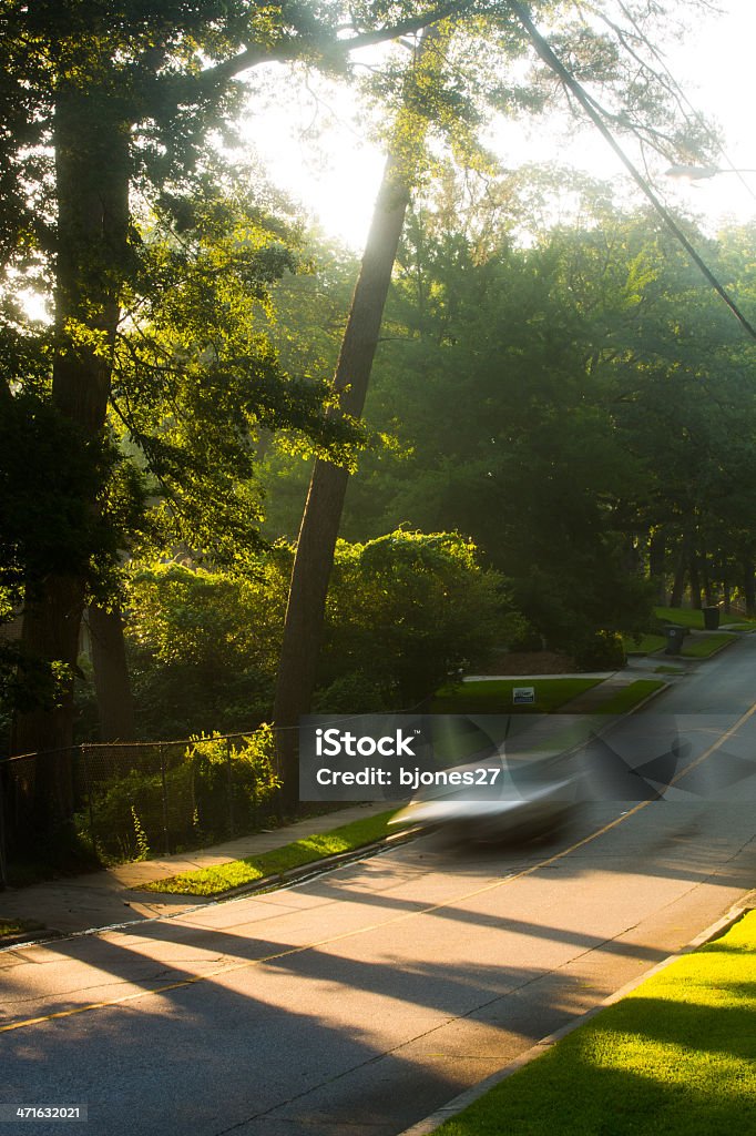 Auto Guida lungo le strade suburbane al mattino presto - Foto stock royalty-free di Albero