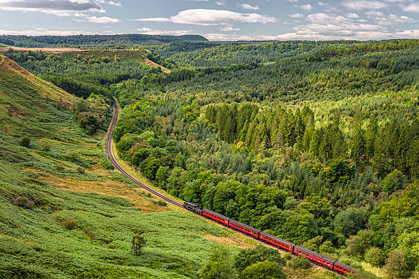 istock Vintage steam train, North York Moors, Yorkshire, UK. 471634345