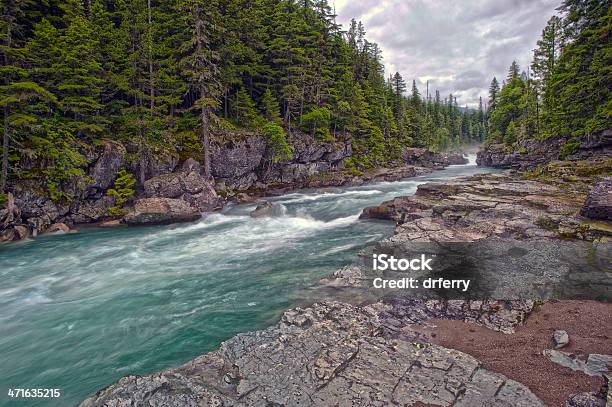 Avalanche Creek Hdr - Fotografias de stock e mais imagens de Ao Ar Livre - Ao Ar Livre, Calcário - Rocha Sedimentar, Corrente - Água corrente