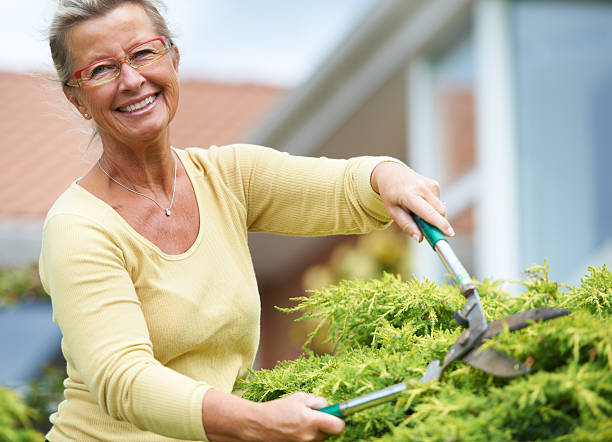 tenendo il suo giardino in buone condizioni - planting clothing gray hair human age foto e immagini stock