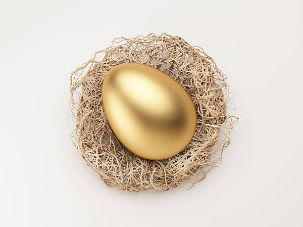 비상금 - birds nest animal nest nest egg savings 뉴스 사진 이미지