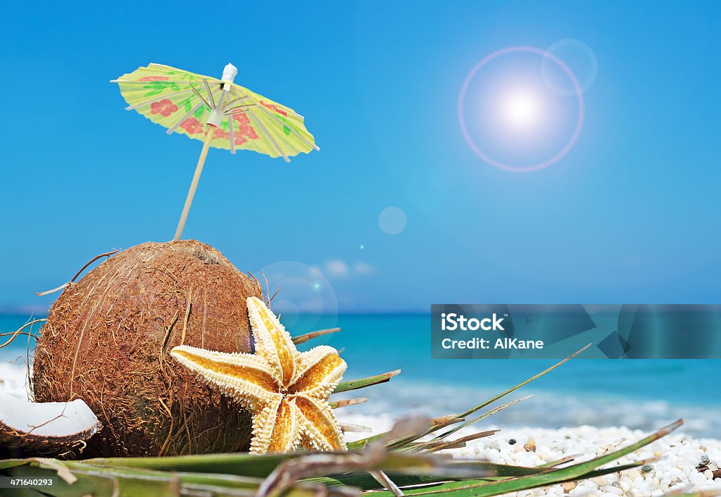 Kokosowy i Parasol - Zbiór zdjęć royalty-free (Bez ludzi)