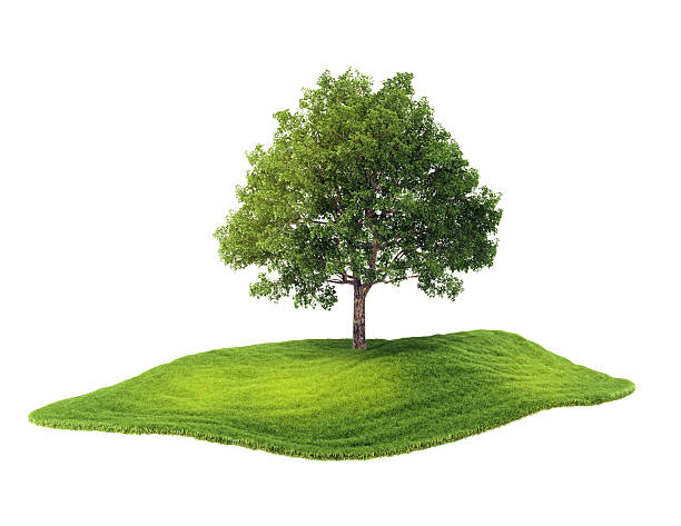 istock island with tree floating in the air 471640434