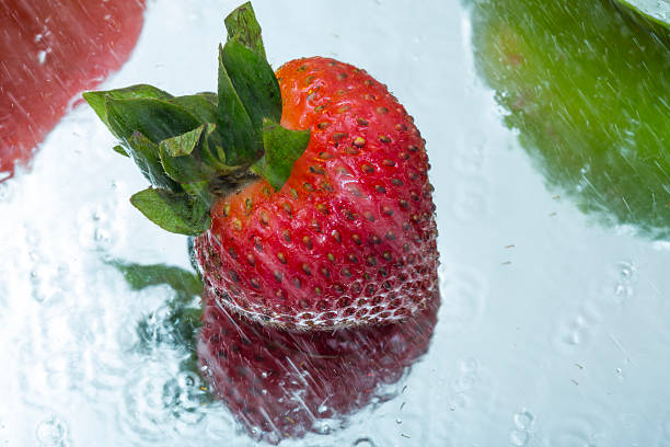Strawberry in Rain