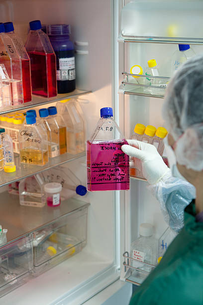istock scientist takes a medical sample from the refrigerator 471641225