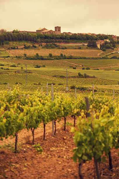 istock La Rioja Wine Country 471642227