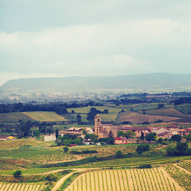 istock La Rioja Wine Country 471642249