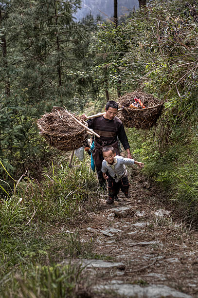 Father and son farmers returning from field work, rural China. Langde Village, Guizhou, China - April 15, 2010: Chinese peasant farmer man carries the weight on your shoulder. Asian family farmer goes to work in fields in highlands, boy runs next to his father. rockabilly boys stock pictures, royalty-free photos & images