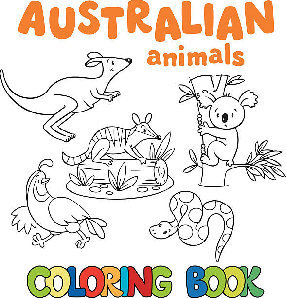 ilustrações, clipart, desenhos animados e ícones de livro de colorir com animais selvagens - kangaroo animal humor fun
