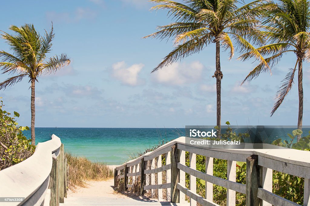 Pathway to the beach with palm trees White wooden footpath leading to a beautiful tropical beach in Florida Fort Lauderdale Stock Photo