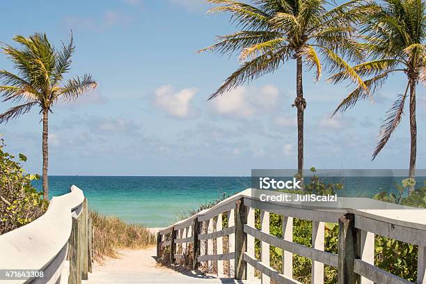 Pathway To The Beach With Palm Trees Stock Photo - Download Image Now - Fort Lauderdale, Beach, Boardwalk