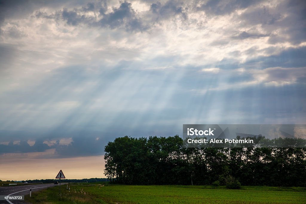 Sunbeams sobre a highway e floresta - Foto de stock de Ajardinado royalty-free