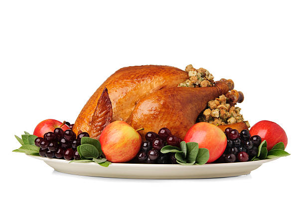 Thanksgiving Turkey Thanksgiving turkey on white background.  Please see my portfolio for other holiday and food images.  garnish photos stock pictures, royalty-free photos & images