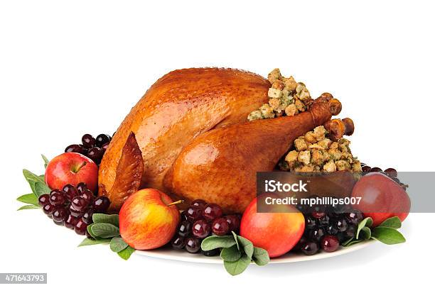 Thanksgiving Turkey Stock Photo - Download Image Now - Turkey - Bird, Turkey Meat, Roast Turkey