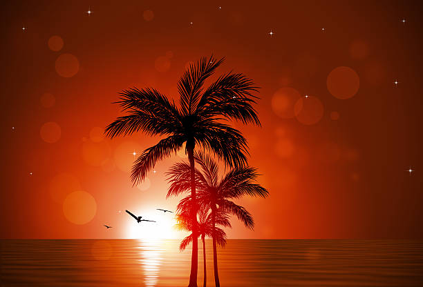 illustrazioni stock, clip art, cartoni animati e icone di tendenza di tramonto tropicale sfondo rosso - grass family backgrounds sea wind