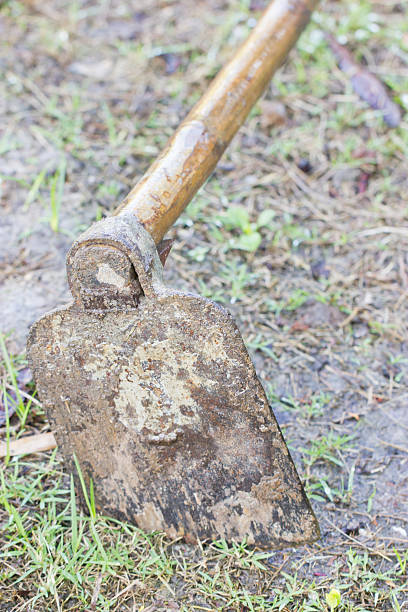 istock Close up of hoe. 471644649
