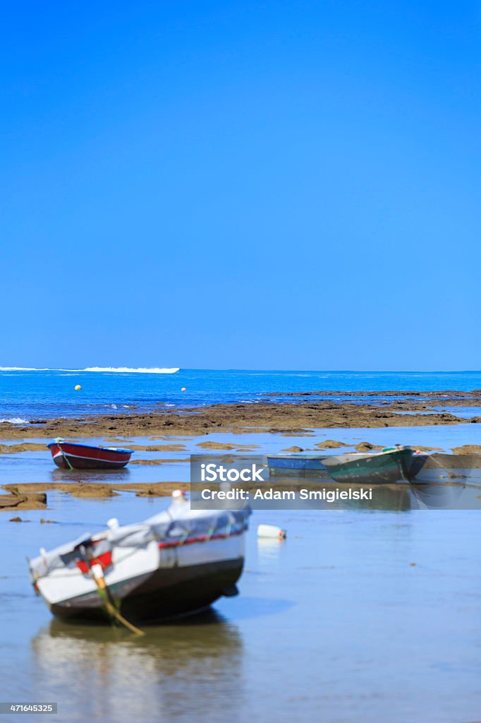 Barcos na praia - Royalty-free Ajardinado Foto de stock