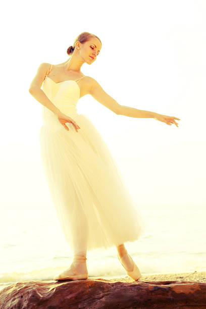 istock ballerina on a rock 471645841