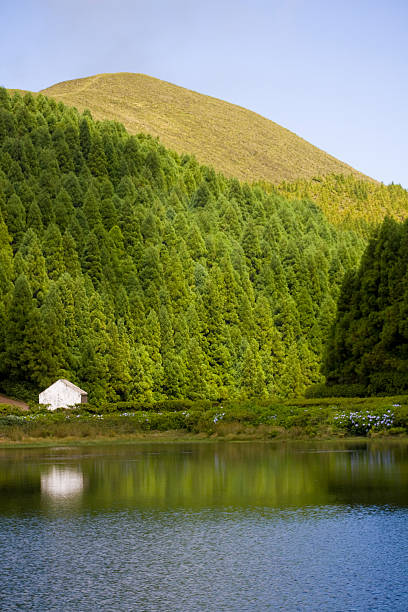 Lagoon in Volcanic crater surrounded by forest in Sao Miguel island, Azores, Portugal. 