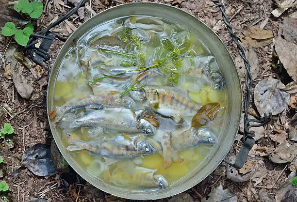 A fresh fish-soup in pot on nature.